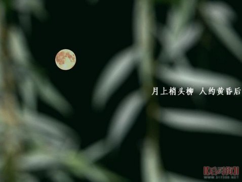 月上柳梢头人约黄昏后是什么节日