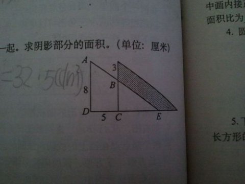 直角三角形的面积公式(直角三角形的面积怎么算)