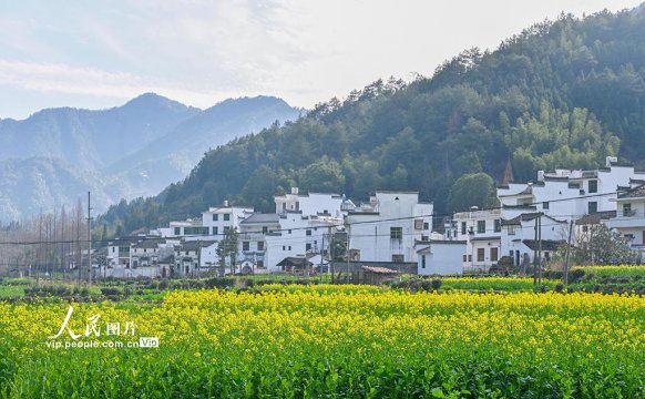 江西婺源几月份去最好