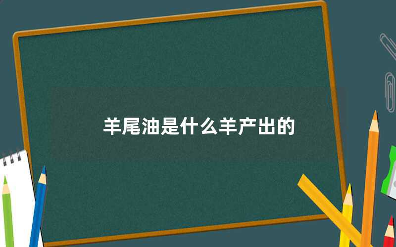 羊尾油是什么羊产出的