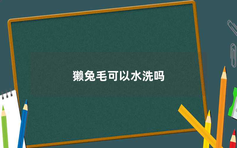 獭兔毛可以水洗吗