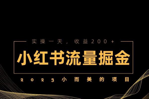 2023小而美的项目，小红书流量掘金，实操一天，收益200+【揭秘】