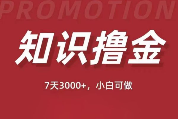 抖音知识撸金项目：简单粗暴日入1000+执行力强当天见收益(教程+资料)