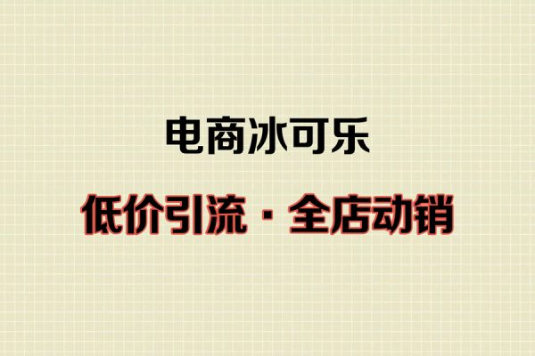 电商冰可乐·直通车·《低价引流·全店动销》，直通车·超高ROI玩法（其一）全店动销必学玩法