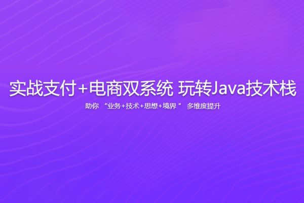 实战支付+电商双系统 玩转Java技术栈