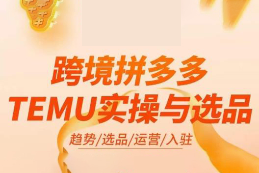 伍跃-跨境拼多多TEMU实操与选品