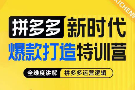 推易拼多多VIP全套直播课程，拼多多店铺实操玩法+实战玩法选款内功+直通车高阶等