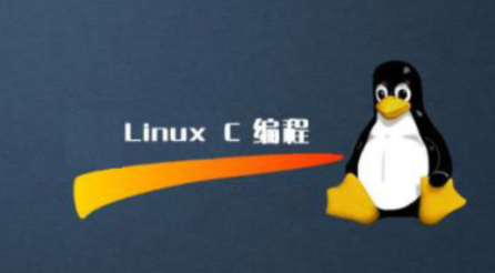 linux C/C++ —码农有道