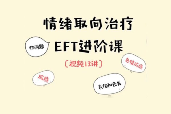 EFT夫妻咨询进阶核心13讲