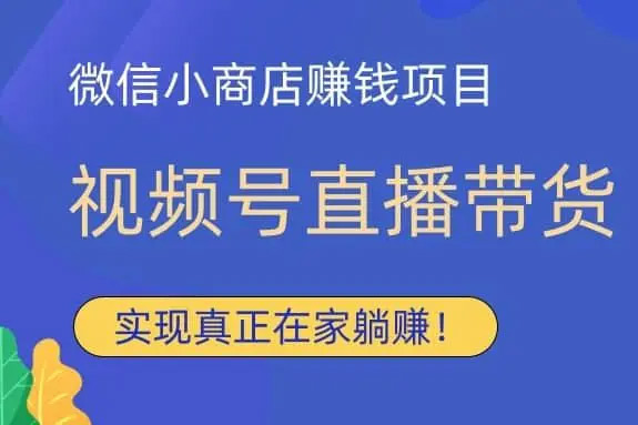 视频号直播年货，时令项目流量起飞