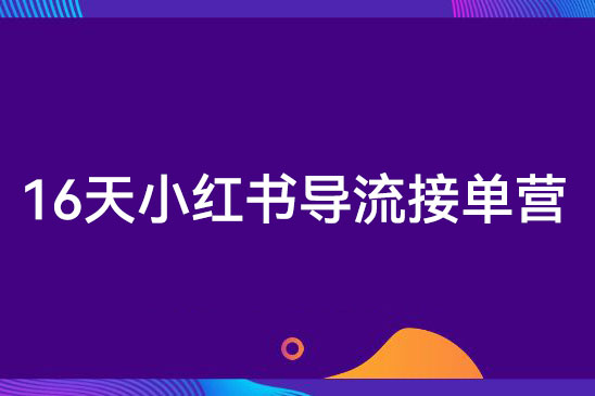 16天小红书导流接单营，教你引爆流量，在小红书精准获客+转化成交