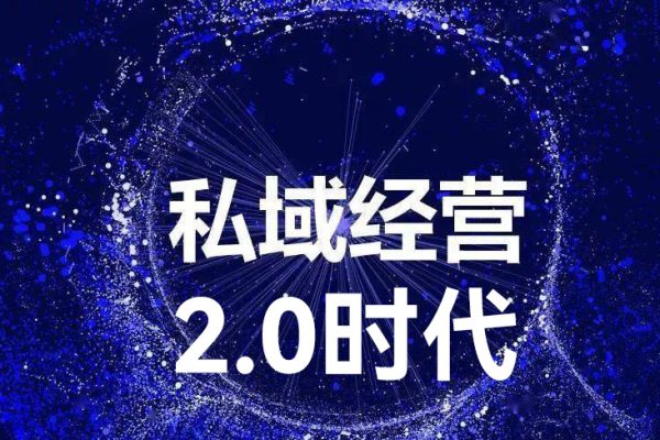 私域2.0时代：企业私域策略实战课，培养能拿结果的私域操盘手