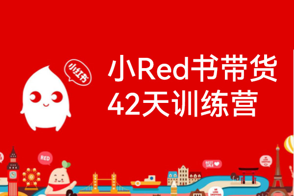 小Red书带货42天训练营（2.0版），普通人月收过万的带货课，零门槛无压货