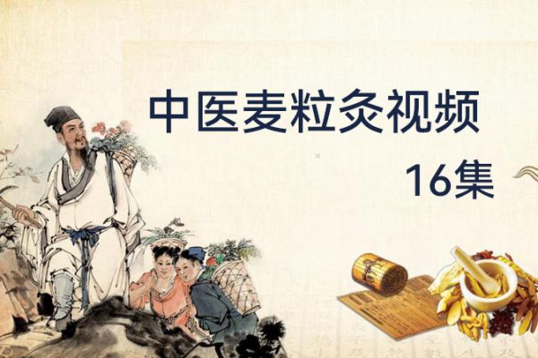 中医麦粒灸视频课程16集