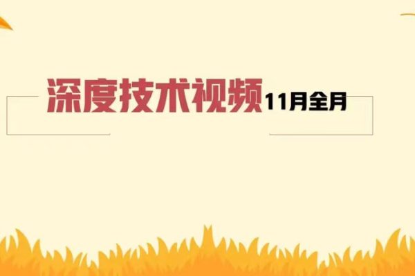 天机短线深度技术视频11月全月