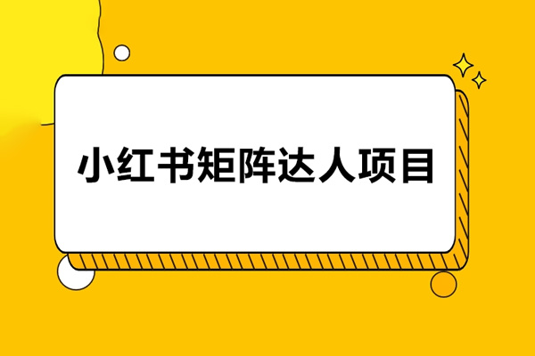 小红书矩阵达人项目，直接复制搬运，回报率非常高