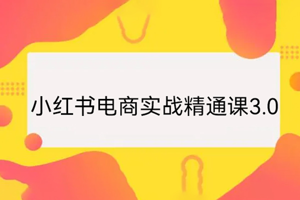 小红书电商实战精通课3.0，抓住小红书平台的风口，不错过有一个赚钱的机会