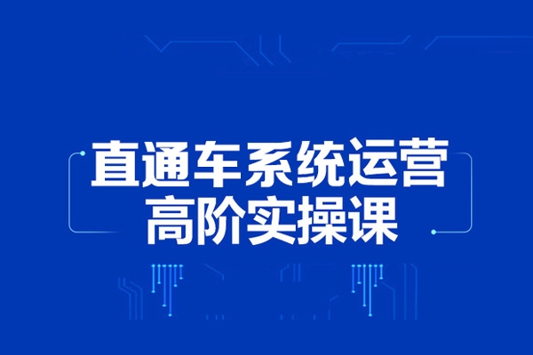 2024无界直通车系统实操课程，带你学会万相无界关键词推广，4.0升级版，系统化课程 理论+实操