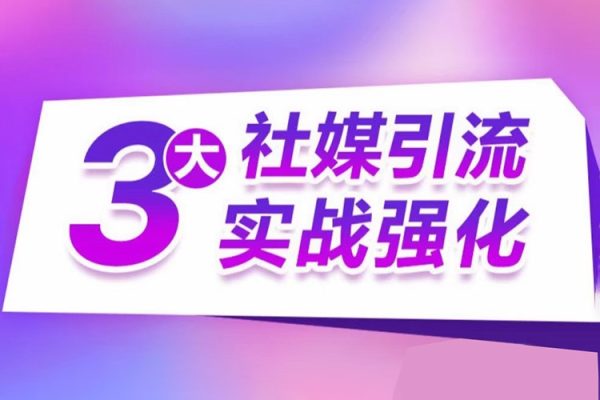 阿甘·3大社媒引流实战强化 Reddit、Pinterest、Instagram 营销推广引流实操指南