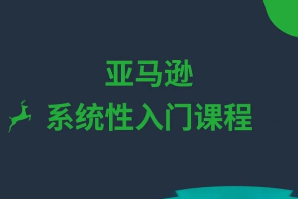 亚马逊精选开店指南，选品实战课，亚马逊如何从0基础快速到出单