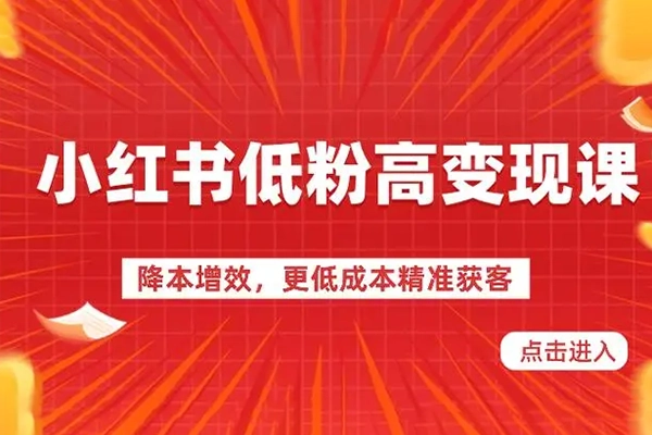 小红书低粉高变现课，小红书必爆的流量密码