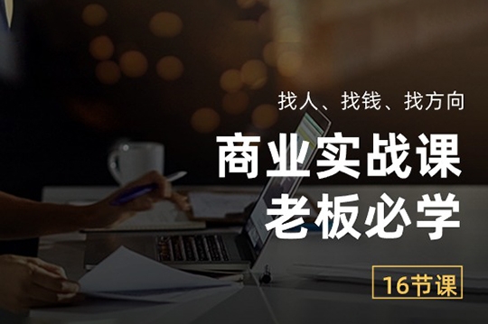 商业实战课【老板必学】：找人、找钱、找方向（16节课）