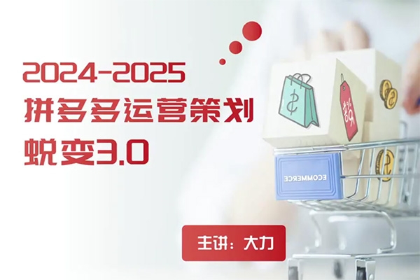 2024拼多多运营策略蜕变3.0，0