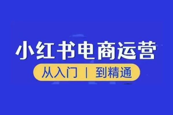 小红书电商运营从入门到精通课，电商店群实战，从0开始到学会