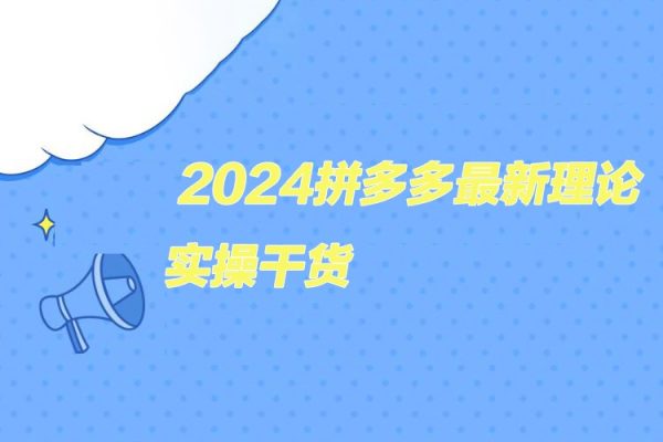 2024拼多多最新理论+实操干货，从入门到精通全链路多角度学习