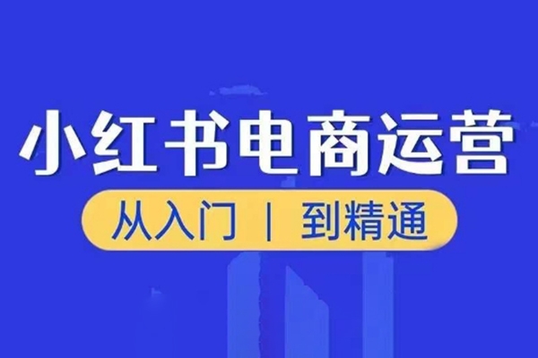 小红书电商运营课，从入门到精通，带你抓住又一个赚钱风口