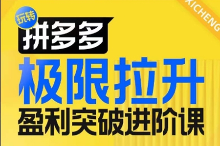 拼多多极限拉升盈利突破进阶课，从算法到玩法，从玩法到团队搭建，体系化系统性帮助商家实现利润提升