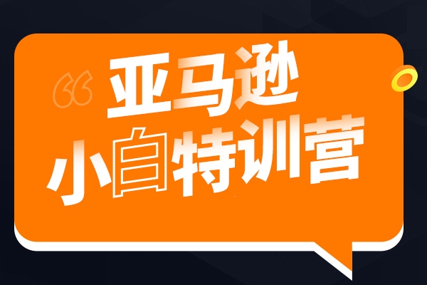 亚马逊爆款广告特训班，快速掌握亚马逊关键词库搭建方法，有效优化广告数据并提升旺季销量