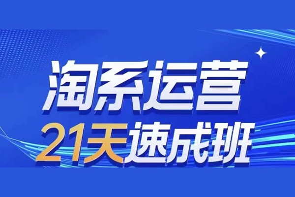 淘系运营21天速成班，0基础轻松搞定淘系运营，不做假把式(更新24年8月)