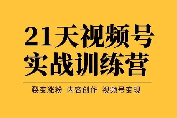 视频号涨粉变现训练营，一站式打造稳定的视频号，涨粉变现模式