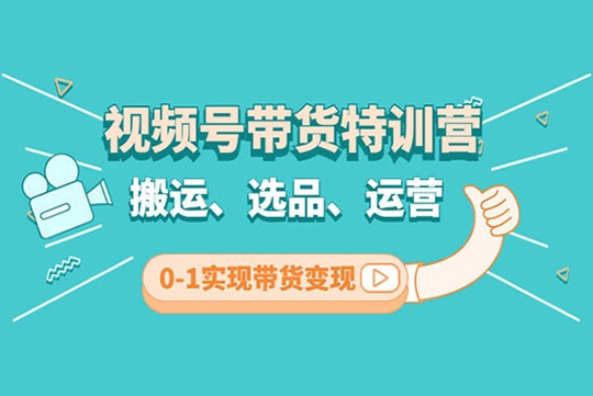 张小伟视频号带货实操课【九月最新】 无人直播、书单号卖货、个人IP口播等 钉钉直播课+资料素材