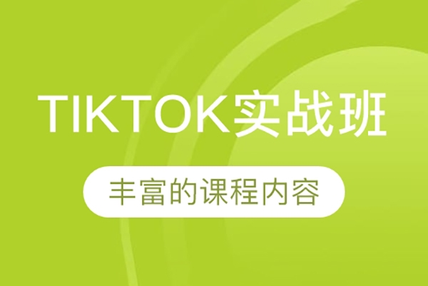 TikTok达人实战课，Tiktok达人变现全套流程