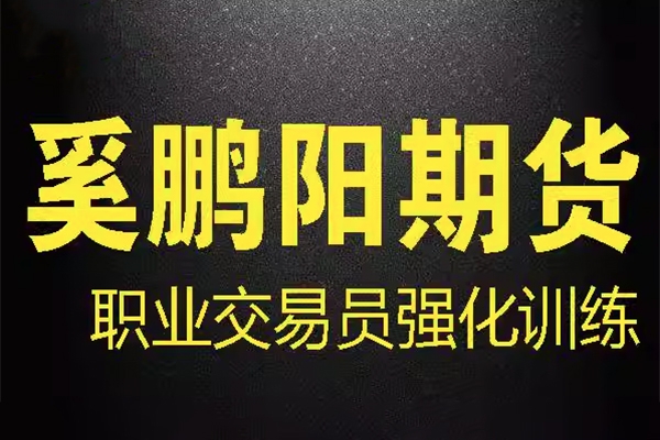 奚鹏阳期货课程 职业交易员强化训练营 买卖核心技术视频全套