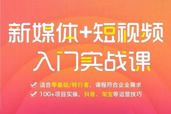 拼多多矩阵动销系列课，能持续盈利的多多矩阵，0基础也听得懂，玩法持续更新