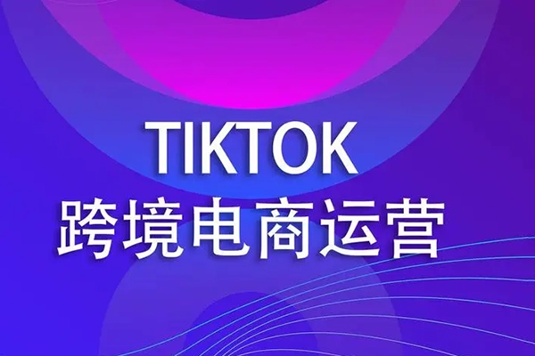 TK虚拟资源变现-Tiktok跨境电商教程