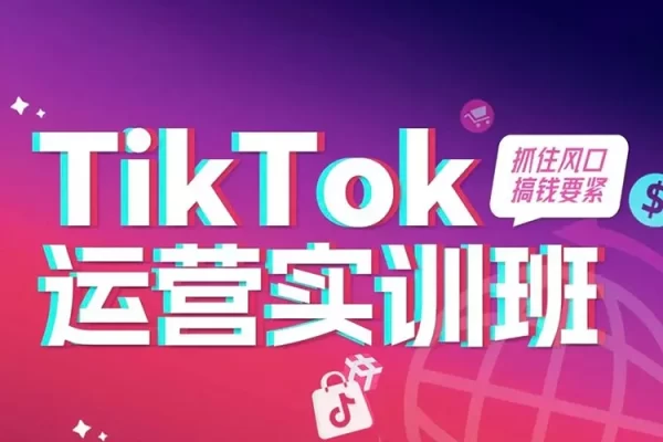 TikTok运营变现全攻略：从手机设置到爆款打造，再到Shopify建站与收益提取