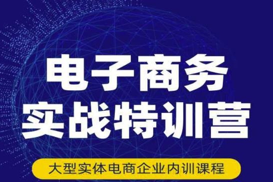 最新系统电商实战玩法，31天实战分享，实战出真知，培训电商公司团队