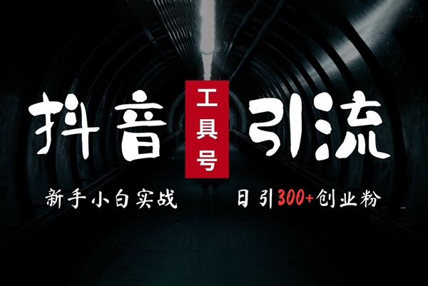 2024最新抖音工具号引流玩法，高效日引300+创业粉，当天变现5k，小白也可成为实战高手【项目拆解】