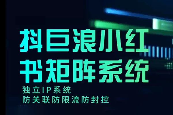 小红书专业号矩阵12+30天引流陪跑训练营，简单易操作，15天可出成绩!