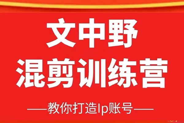 文中野混剪训练营 教你不露脸不直播，通过混剪打造IP账号