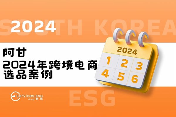 阿甘2024年跨境电商选品案例，跨境电商利基选品（更新11月）