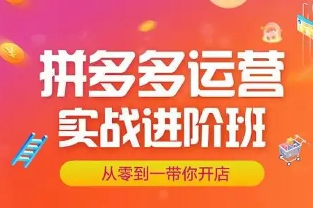 拼多多打爆班原创高阶技术第40期，拼多多全站推广，让更多卖家花小钱学到好技术