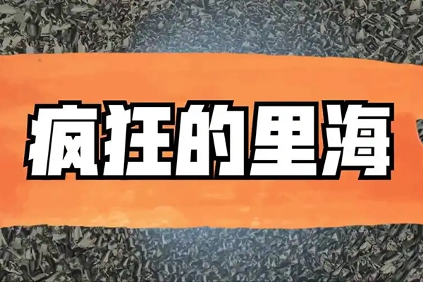 疯狂的里海投资周记里海的直播2024.11