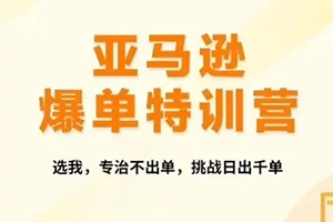 2024年亚马逊爆单特训营，专制不出单，挑战日出千单