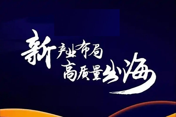 阿甘亚马逊跨境电商选品案例(更新2025年)，跨境电商利基选品